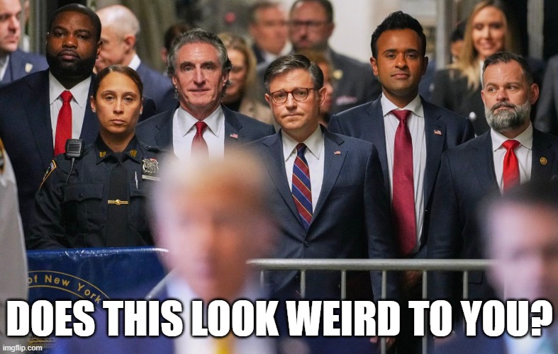 Trump's Weird following of Sheeple | DOES THIS LOOK WEIRD TO YOU? | image tagged in weird trump sheeple new york court case clown suit,republican,authoritarian,dictatorship,felony,criminal | made w/ Imgflip meme maker