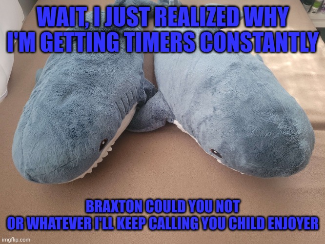 My brother's and my blahaj | WAIT, I JUST REALIZED WHY I'M GETTING TIMERS CONSTANTLY; BRAXTON COULD YOU NOT
OR WHATEVER I'LL KEEP CALLING YOU CHILD ENJOYER | image tagged in my brother's and my blahaj | made w/ Imgflip meme maker