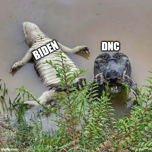 They Eat There Own | DNC; BIDEN | image tagged in biden,dnc | made w/ Imgflip meme maker