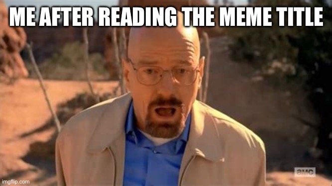 Walter White Fall | ME AFTER READING THE MEME TITLE | image tagged in walter white fall | made w/ Imgflip meme maker