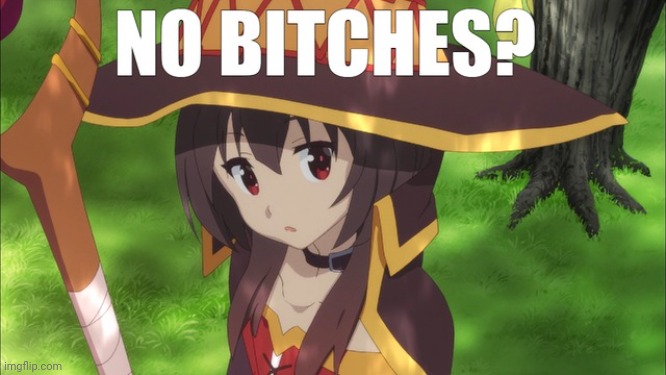 Megumin no bitches? | image tagged in megumin no bitches | made w/ Imgflip meme maker