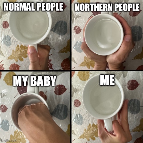 Holding a mug | NORTHERN PEOPLE; NORMAL PEOPLE; ME; MY BABY | image tagged in mug,baby,weird,north | made w/ Imgflip meme maker