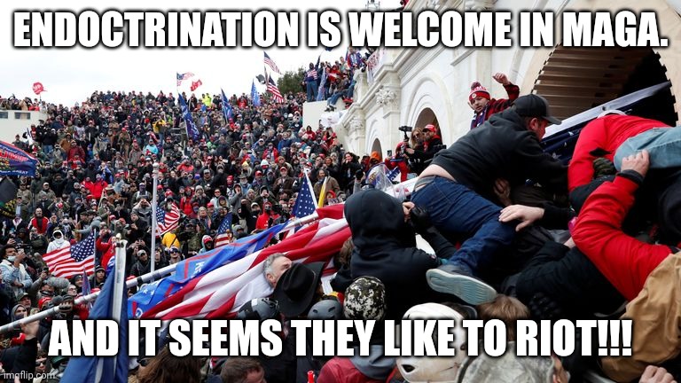 Capitol Terrorists | ENDOCTRINATION IS WELCOME IN MAGA. AND IT SEEMS THEY LIKE TO RIOT!!! | image tagged in capitol terrorists | made w/ Imgflip meme maker