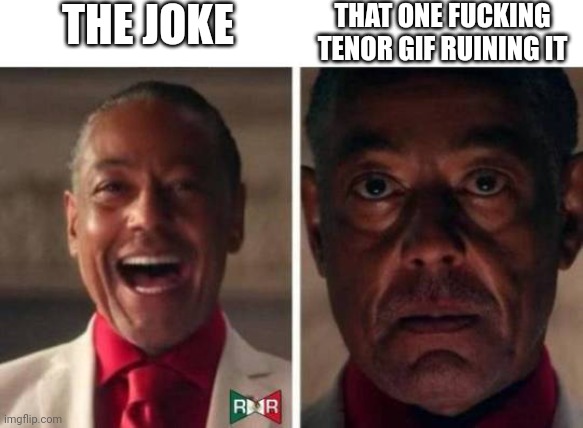 gus fring | THE JOKE THAT ONE FUCKING TENOR GIF RUINING IT | image tagged in gus fring | made w/ Imgflip meme maker