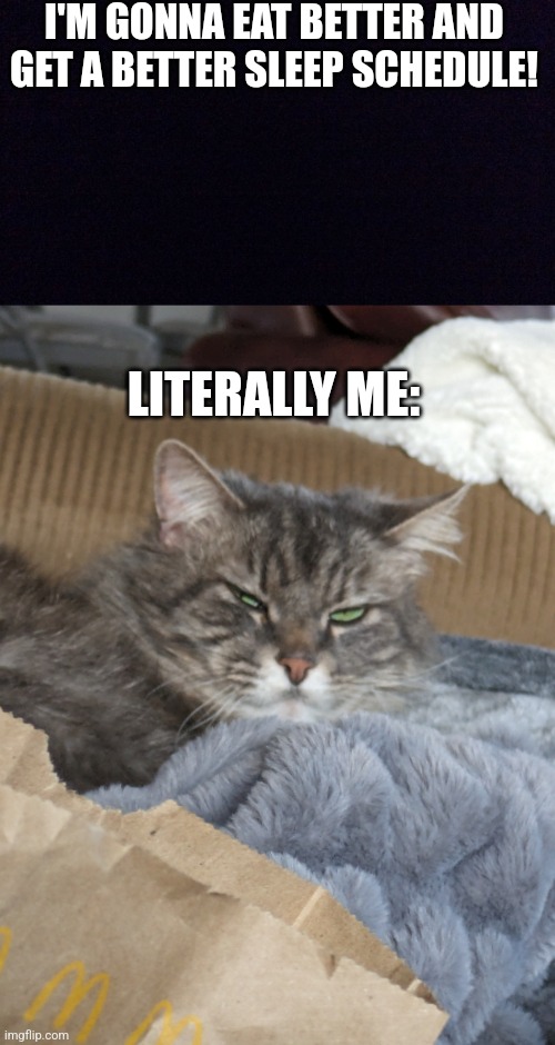 This is my cat btw | I'M GONNA EAT BETTER AND GET A BETTER SLEEP SCHEDULE! LITERALLY ME: | image tagged in black screen | made w/ Imgflip meme maker