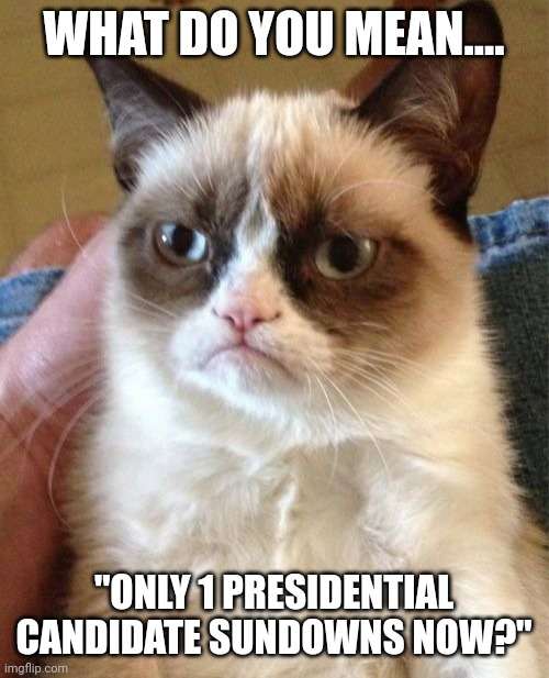 Only 1 old man in the race now!!! | WHAT DO YOU MEAN.... "ONLY 1 PRESIDENTIAL CANDIDATE SUNDOWNS NOW?" | image tagged in memes,grumpy cat | made w/ Imgflip meme maker