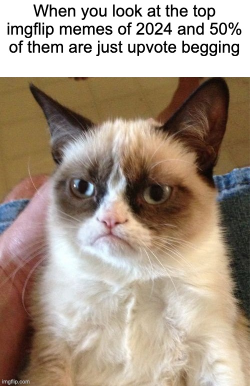 What happened | When you look at the top imgflip memes of 2024 and 50% of them are just upvote begging | image tagged in memes,fun,grumpy cat,upvote beggars | made w/ Imgflip meme maker