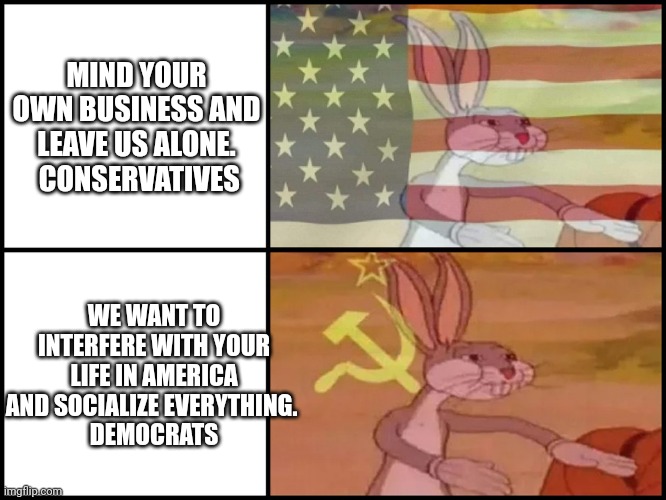 Capitalist and communist | MIND YOUR OWN BUSINESS AND LEAVE US ALONE.
 CONSERVATIVES WE WANT TO INTERFERE WITH YOUR LIFE IN AMERICA AND SOCIALIZE EVERYTHING. 
DEMOCRAT | image tagged in capitalist and communist | made w/ Imgflip meme maker