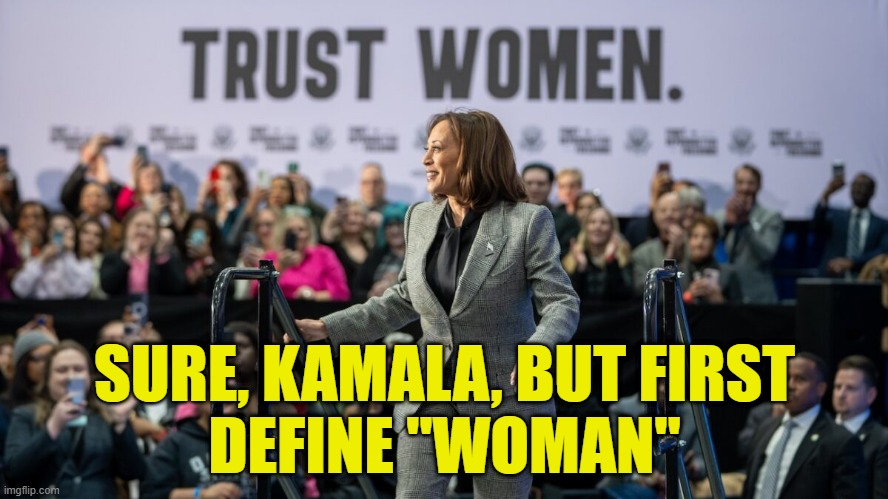 Trust, But Verify | SURE, KAMALA, BUT FIRST
DEFINE "WOMAN" | image tagged in kamala harris,trust women,woman,definition,woke,abortion | made w/ Imgflip meme maker