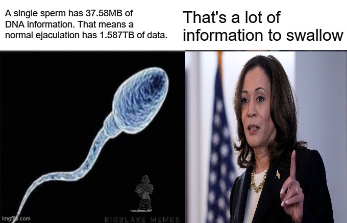 Kamala swallows | A single sperm has 37.58MB of DNA information. That means a normal ejaculation has 1.587TB of data. That's a lot of information to swallow | image tagged in memes,woman yelling at cat | made w/ Imgflip meme maker