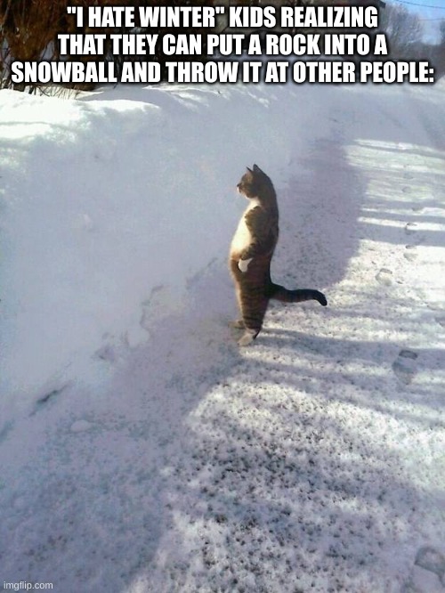 evil thought | "I HATE WINTER" KIDS REALIZING THAT THEY CAN PUT A ROCK INTO A SNOWBALL AND THROW IT AT OTHER PEOPLE: | image tagged in cat snow | made w/ Imgflip meme maker