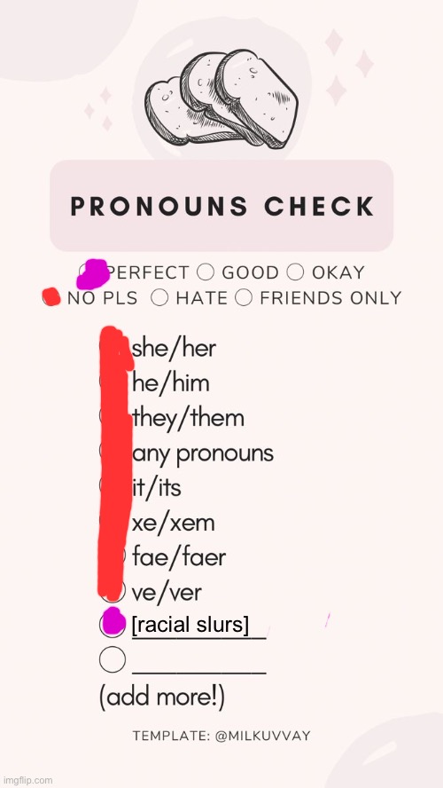 pronoun check | [racial slurs] | image tagged in pronoun check | made w/ Imgflip meme maker