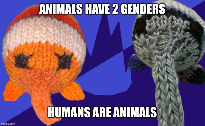 3 ups and I post in LGBTQ | ANIMALS HAVE 2 GENDERS; HUMANS ARE ANIMALS | image tagged in bob and rob after their parents divorced | made w/ Imgflip meme maker