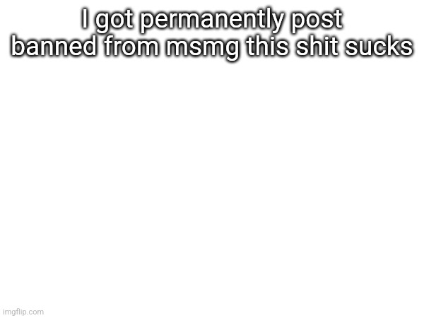I got permanently post banned from msmg this shit sucks | made w/ Imgflip meme maker