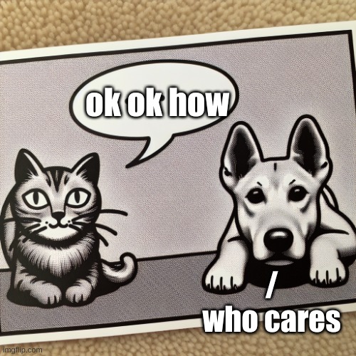 Doggie reacts :) | ok ok how; / who cares | image tagged in doggie reacts,dogs,dog,cat,cats | made w/ Imgflip meme maker