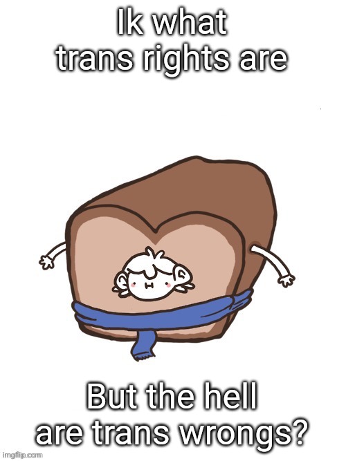 Sherloaf | Ik what trans rights are; But the hell are trans wrongs? | image tagged in sherloaf | made w/ Imgflip meme maker