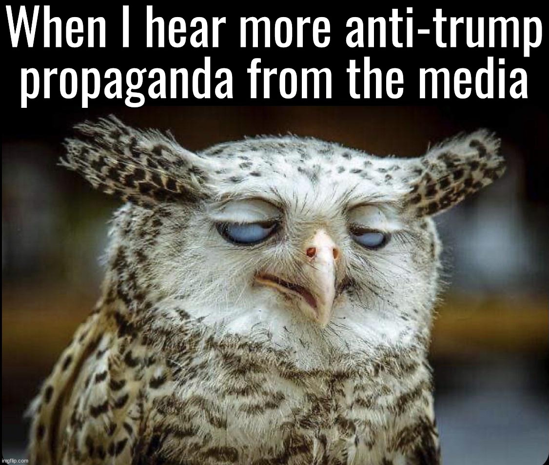 Same look when they fawn of Kamala/Walz ticket | When I hear more anti-trump propaganda from the media | image tagged in media,media lies,kamala harris,tim walz | made w/ Imgflip meme maker