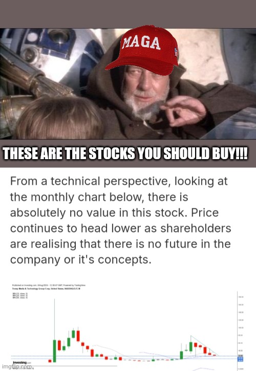 Heading to the gutter....more grifts for the grifter! | THESE ARE THE STOCKS YOU SHOULD BUY!!! | image tagged in memes,these aren't the droids you were looking for | made w/ Imgflip meme maker