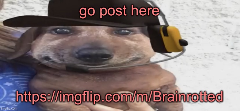 chucklenuts | go post here; https://imgflip.com/m/Brainrotted | image tagged in chucklenuts | made w/ Imgflip meme maker