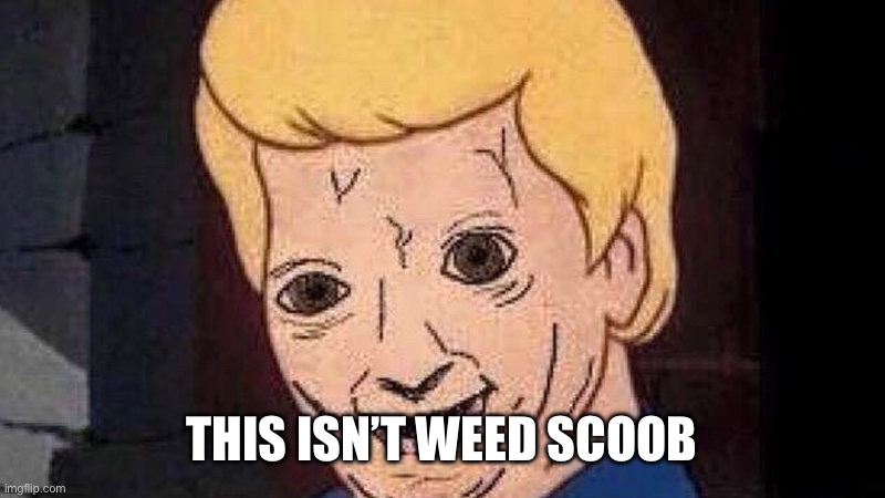 Shaggy this isn't weed | THIS ISN’T WEED SCOOB | image tagged in shaggy this isn't weed | made w/ Imgflip meme maker