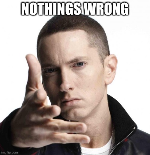 Eminem video game logic | NOTHINGS WRONG | image tagged in eminem video game logic | made w/ Imgflip meme maker