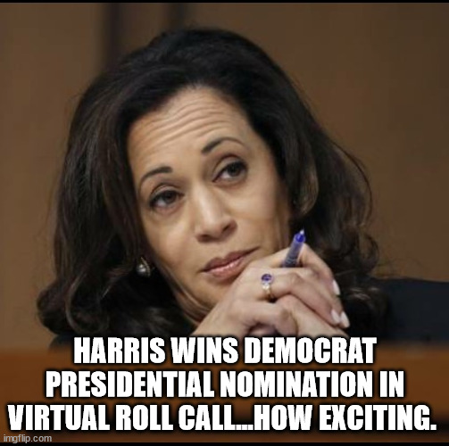 Harris | HARRIS WINS DEMOCRAT PRESIDENTIAL NOMINATION IN VIRTUAL ROLL CALL…HOW EXCITING. | image tagged in kamala harris,knee pad,radical harris,2024 election democrat,installed candidate,democracy | made w/ Imgflip meme maker