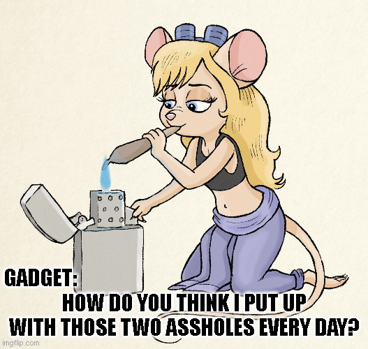 Rescue Rangers Gadget Smokes a Blunt | HOW DO YOU THINK I PUT UP WITH THOSE TWO ASSHOLES EVERY DAY? GADGET: | image tagged in gadget,blunt,rescue rangers,smoke weed everyday,smoking weed | made w/ Imgflip meme maker