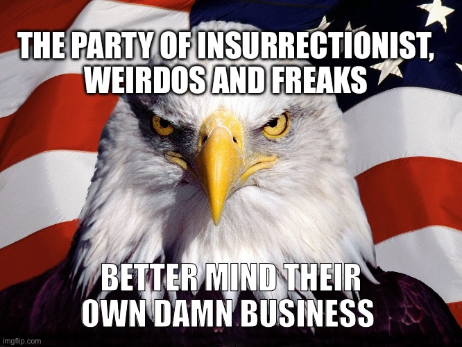 Freedom Eagle | THE PARTY OF INSURRECTIONIST, WEIRDOS AND FREAKS; BETTER MIND THEIR OWN DAMN BUSINESS | image tagged in freedom eagle | made w/ Imgflip meme maker