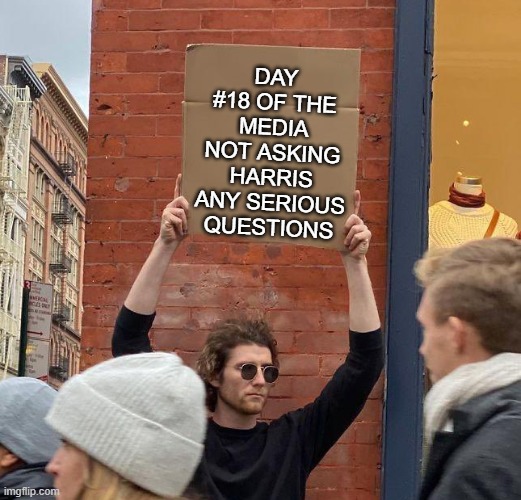 DAY #18 OF THE MEDIA NOT ASKING HARRIS ANY SERIOUS QUESTIONS | image tagged in man with sign | made w/ Imgflip meme maker