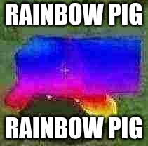 RAINBOW PIG; RAINBOW PIG | made w/ Imgflip meme maker
