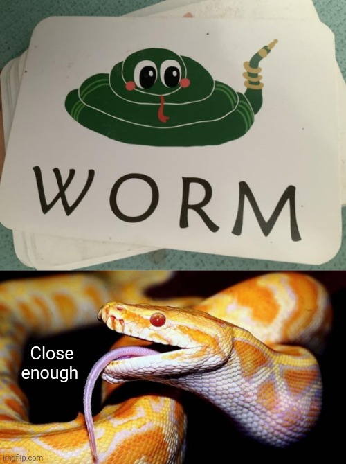 "Worm" | Close enough | image tagged in high af snake,worm,snake,you had one job,memes,snakes | made w/ Imgflip meme maker