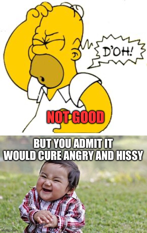 BUT YOU ADMIT IT WOULD CURE ANGRY AND HISSY NOT GOOD | image tagged in homer doh,memes,evil toddler | made w/ Imgflip meme maker