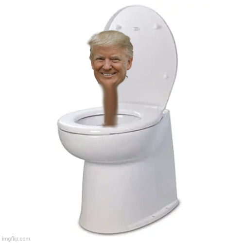 Donald Trump skibidi toilet | image tagged in donald trump skibidi toilet | made w/ Imgflip meme maker