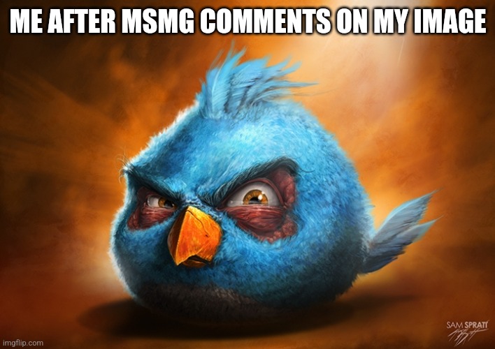 Pissed off | ME AFTER MSMG COMMENTS ON MY IMAGE | made w/ Imgflip meme maker