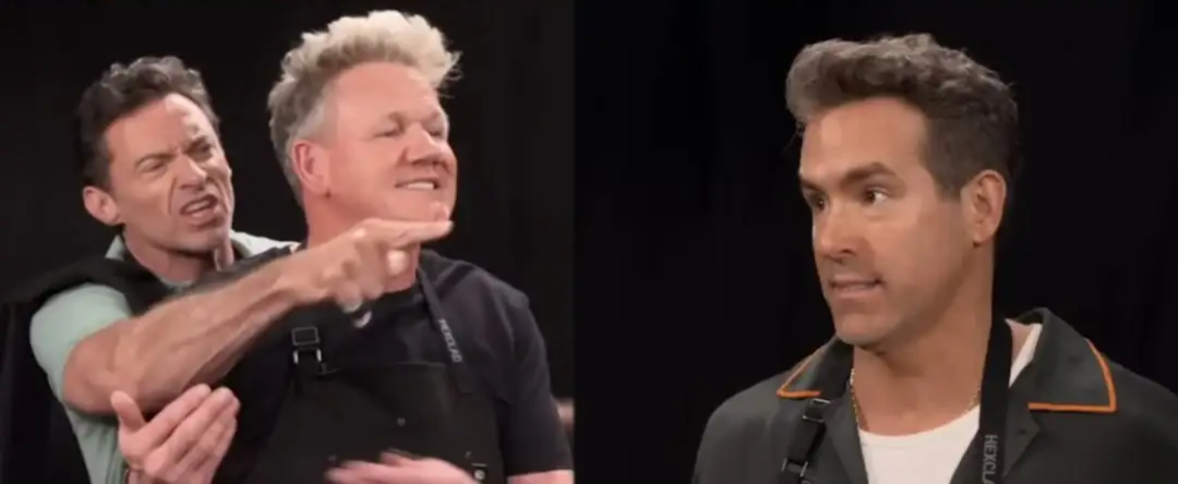 hugh jackman gordon ramsey ryan reynolds cat meme Blank Meme Template