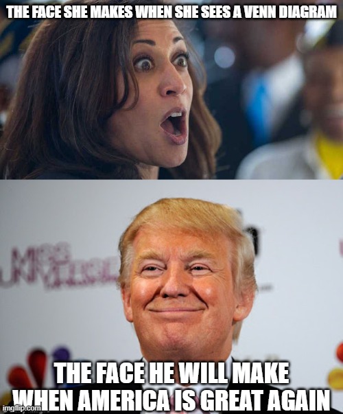 There is a clear choice. MAGA | THE FACE SHE MAKES WHEN SHE SEES A VENN DIAGRAM; THE FACE HE WILL MAKE WHEN AMERICA IS GREAT AGAIN | image tagged in kamala harriss,donald trump approves | made w/ Imgflip meme maker