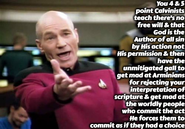 Unmitigated Gall | You 4 & 5 point Calvinists teach there's no free will & that God is the Author of all sin by His action not His permission & then; have the unmitigated gall to get mad at Arminians for rejecting your interpretation of scripture & get mad at the worldly people who commit the act He forces them to commit as if they had a choice | image tagged in memes,calvinism,reformed theology,contradictions,arminian,how can they not see this | made w/ Imgflip meme maker