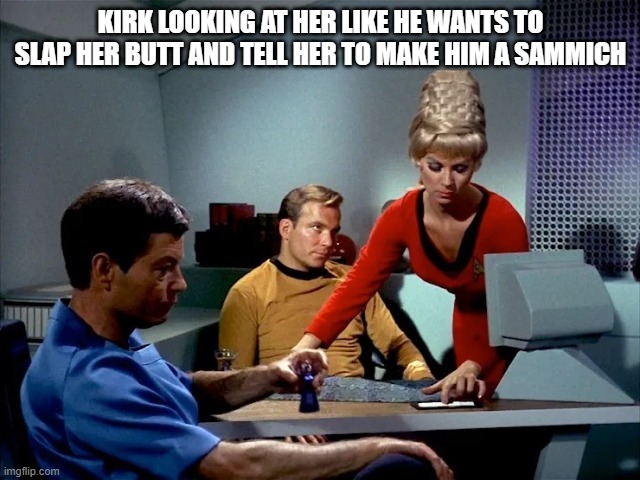 Hey Yoeman... | KIRK LOOKING AT HER LIKE HE WANTS TO SLAP HER BUTT AND TELL HER TO MAKE HIM A SAMMICH | image tagged in william shatner | made w/ Imgflip meme maker