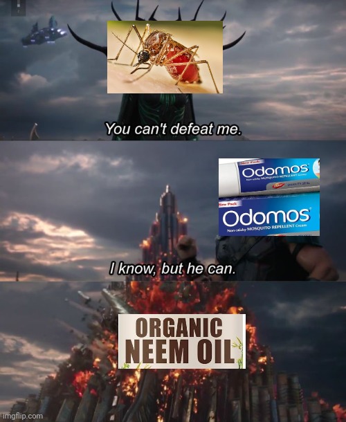 neem oil vs odomos meme | image tagged in you can't defeat me | made w/ Imgflip meme maker