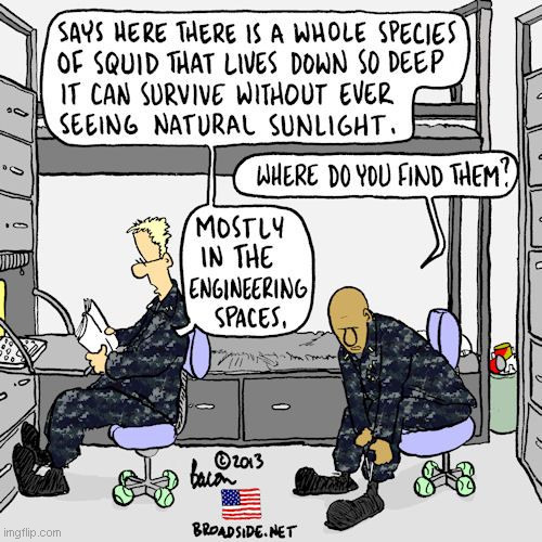 Comic - Navy Squid Humor | image tagged in navy,us navy,squids,navy humor | made w/ Imgflip meme maker