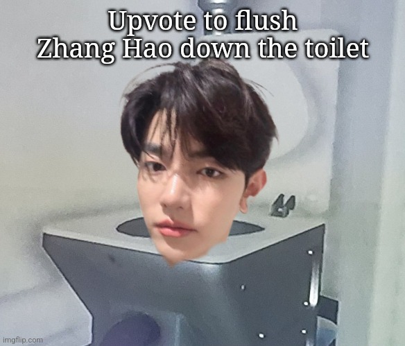 Zhang Hao in the toilet | Upvote to flush Zhang Hao down the toilet | image tagged in zhang hao toilet | made w/ Imgflip meme maker