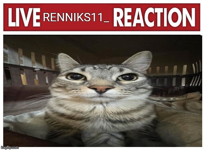 Live Renniks11_ reaction | image tagged in live renniks11_ reaction | made w/ Imgflip meme maker