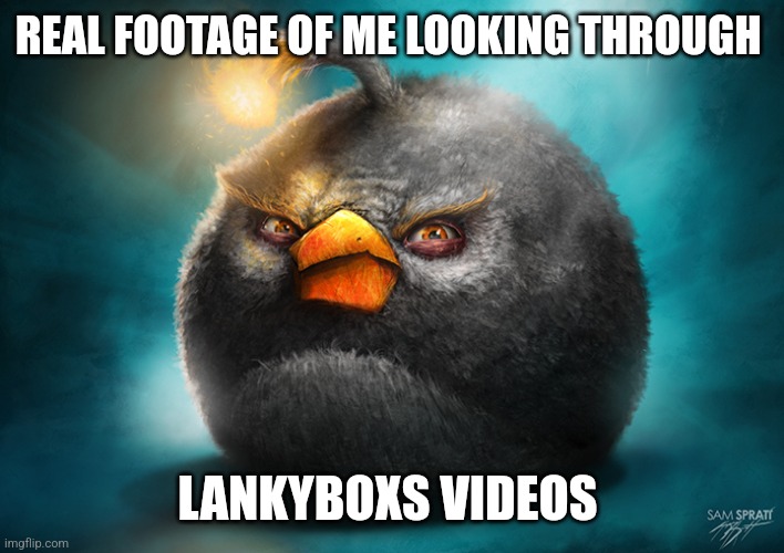 Realistic Bomb Angry Bird | REAL FOOTAGE OF ME LOOKING THROUGH; LANKYBOXS VIDEOS | made w/ Imgflip meme maker