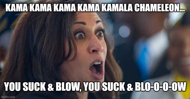 Hey wait a minute... I HATE THAT F@&KING SONG! | KAMA KAMA KAMA KAMA KAMALA CHAMELEON... YOU SUCK & BLOW, YOU SUCK & BLO-O-O-OW | image tagged in kamala harriss | made w/ Imgflip meme maker