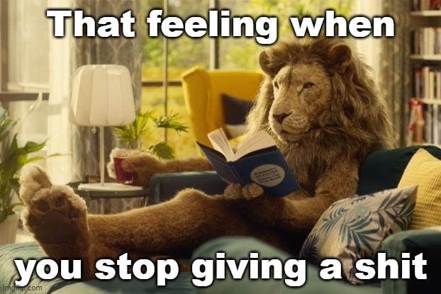 Lion relaxing | That feeling when you stop giving a shit | image tagged in lion relaxing | made w/ Imgflip meme maker