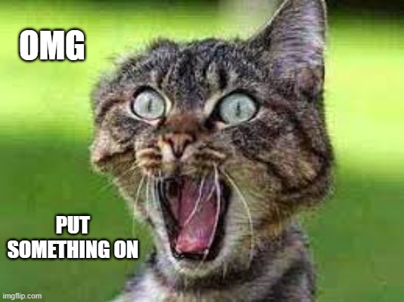 memes by Brad - Cat sees naked person for the first time | OMG; PUT SOMETHING ON | image tagged in funny,cats,kitten,funny cat memes,cute kittens,humor | made w/ Imgflip meme maker