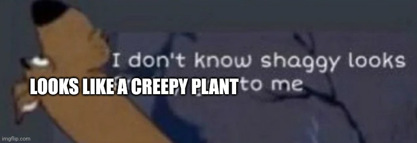 I dunno shaggy | LOOKS LIKE A CREEPY PLANT | image tagged in i dunno shaggy | made w/ Imgflip meme maker