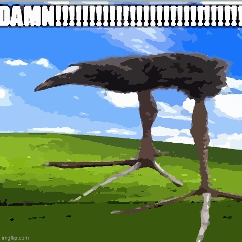 DAMN!!!!!!!!!!!!!!!!!!!!!!!!!!!! | image tagged in damn | made w/ Imgflip meme maker