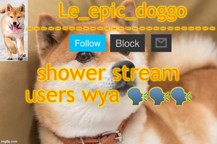 epic doggo's temp back in old fashion | shower stream users wya 🗣️🗣️🗣️ | image tagged in epic doggo's temp back in old fashion | made w/ Imgflip meme maker