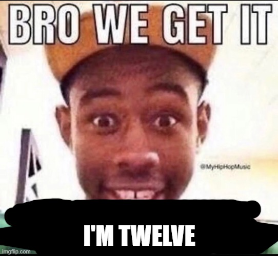 BRO WE GET IT YOU'RE GAY | I'M TWELVE | image tagged in bro we get it you're gay | made w/ Imgflip meme maker